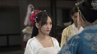 独孤皇后电视剧,权谋与爱情的宫廷传奇